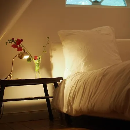 Ferien In Einem Historischen Mit Garten Daire *